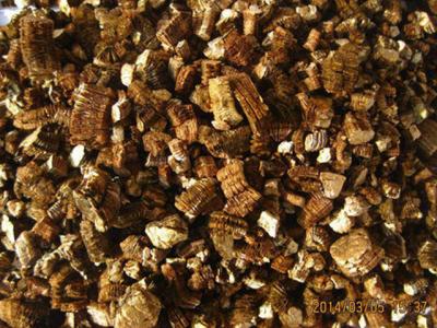 中國石油集團公司